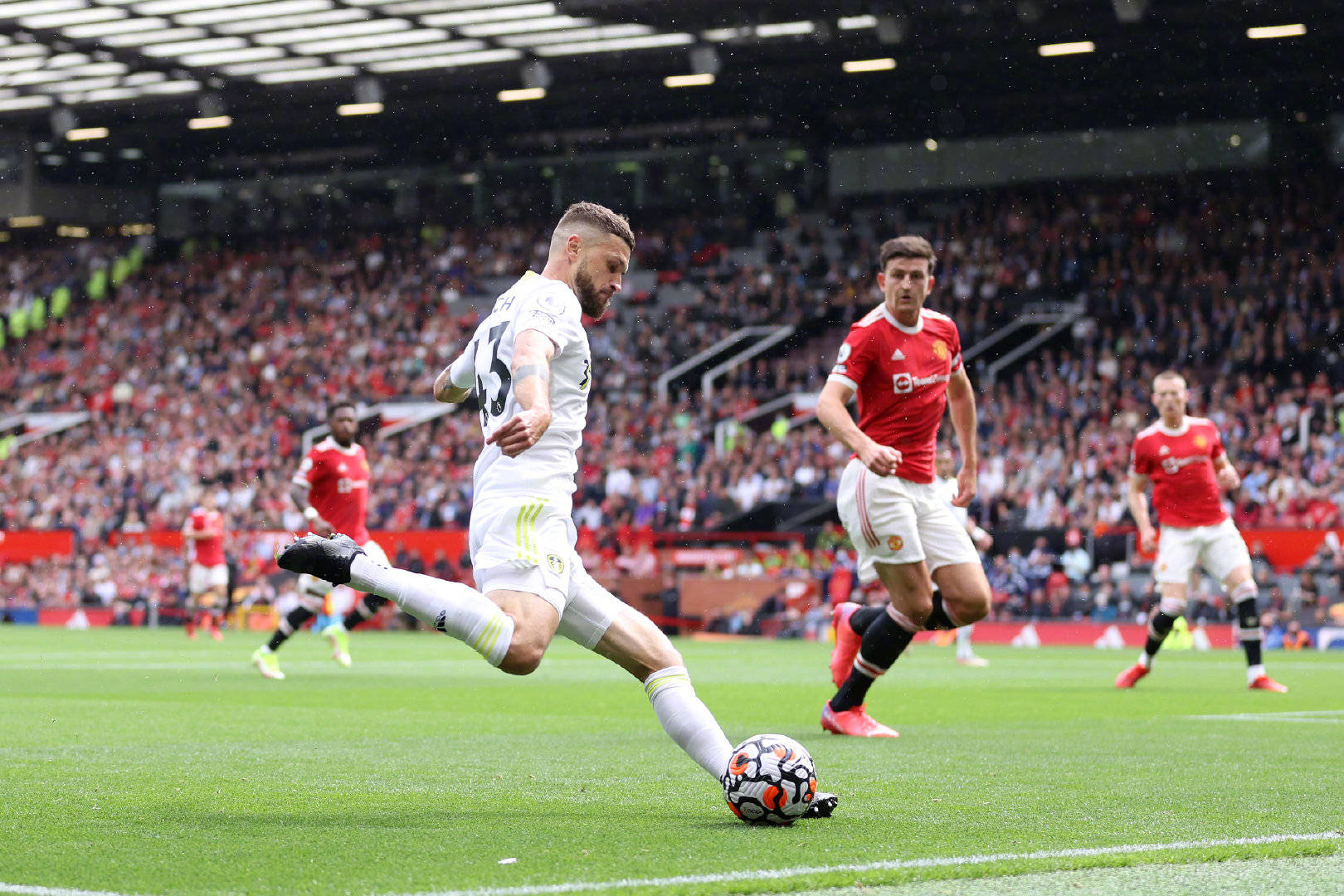 您不仅能领 您不仅能领