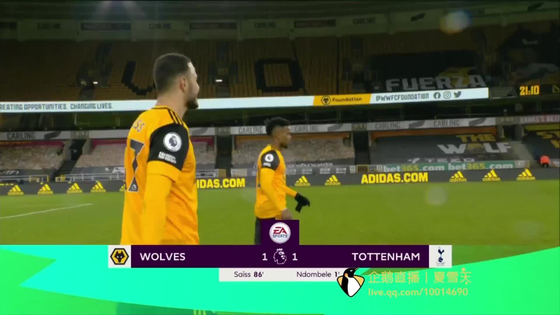 归化球员与 归化球员与